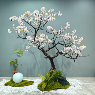 ���һ�÷��ӭ�����S��ɫ�����҃�ֲ�ﻨˇ�����Gֲ���滨