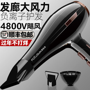 German Hair Dryer for Hair Salons, High-Power Barber Shop, High-Wind Household Negative Ion Hair Care Quick-Drying Hair Dryer
