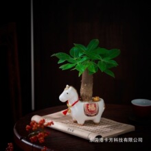 发财树盆栽新年装饰年宵花办公室内客厅桌面好养