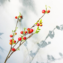 �羳����С�O�� ����t���{�����}�Q������ �zӰ���߼Ҿӻ�c�b�