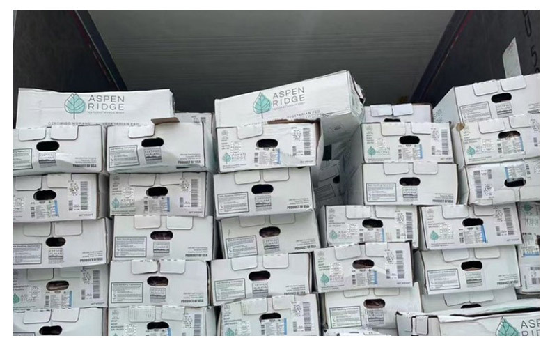 969美国牛上脑_05