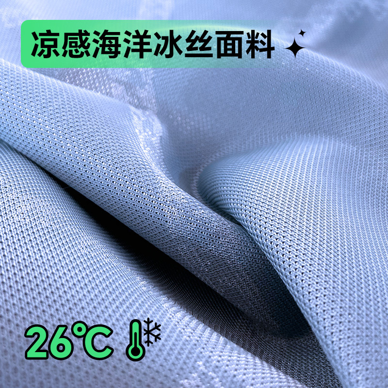 Student Dormitory Single Bed Bunk Bed New Two-Piece Set of Ice Silk Mat Class a Maternal and Infant Grade Household Soft Mat
