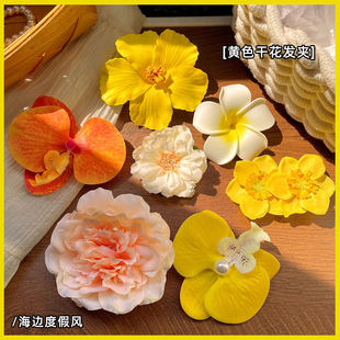 �Sɫ�u������l�A��߅�ȼ��L�������ηՇ�������A��߅�����A�l��