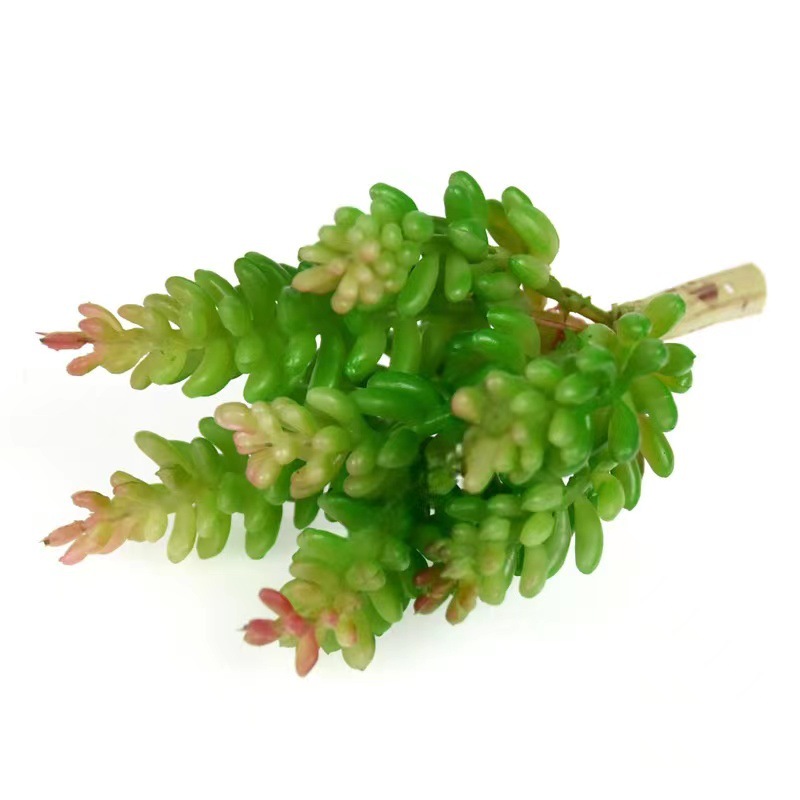 Marco decorativo Planta nórdica colgante de pared decoración de pared colgante de pared tridimensional pared de fondo de planta verde pared cabeza de ciervo simulación suculento planta verde