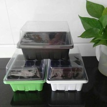 �@ˇ��Ʒ6��  12������� ����P ��ͥ������ ������