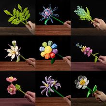 �eľ������������Ů��ϵ����߃�ͯС�w���[���ֹ�ƴ�b�}�Q���Y��