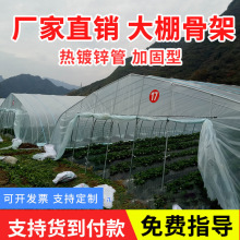 �r�I���ϲ�ݮ�Nֲ���� ���ѱ����� �����Nֲ���Ҵ�����w�B�w����