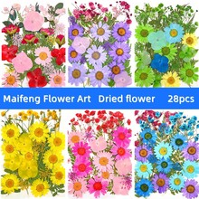 干花压花批发植物押花28片花叶组合包真树叶标本贴画跨境迈峰花艺