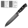 VG10 Damascus steel fruit knife