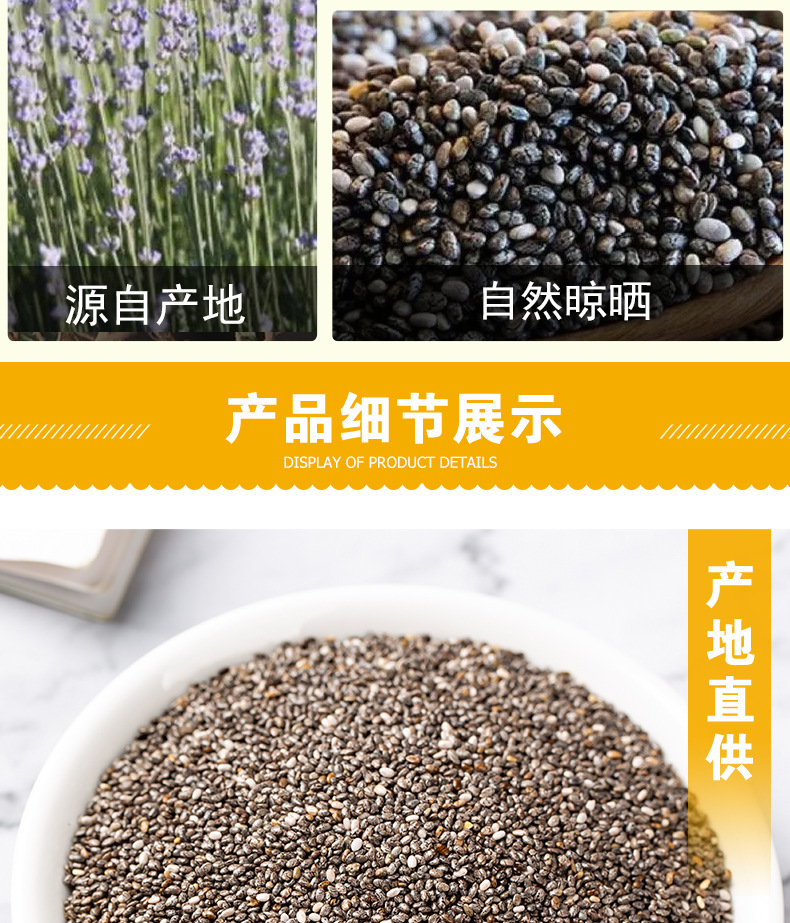 Chia Seeds (Salvia hispanica) — Raw Food-Herb Superfood for Drinks & Meals in use