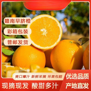 �������r�Fժ�M����Ě�ȃ���4.8/8��ι�70-90+���]