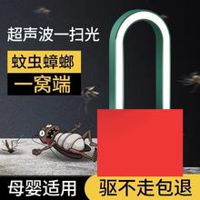 �S�ҳ������������ß�Сҹ�����\����������ĸ���ω��