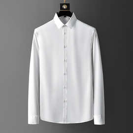 品质商务衬衫-秋季男式长袖衬衣 男 纯色衬衫长袖 衬衫商务衬衫