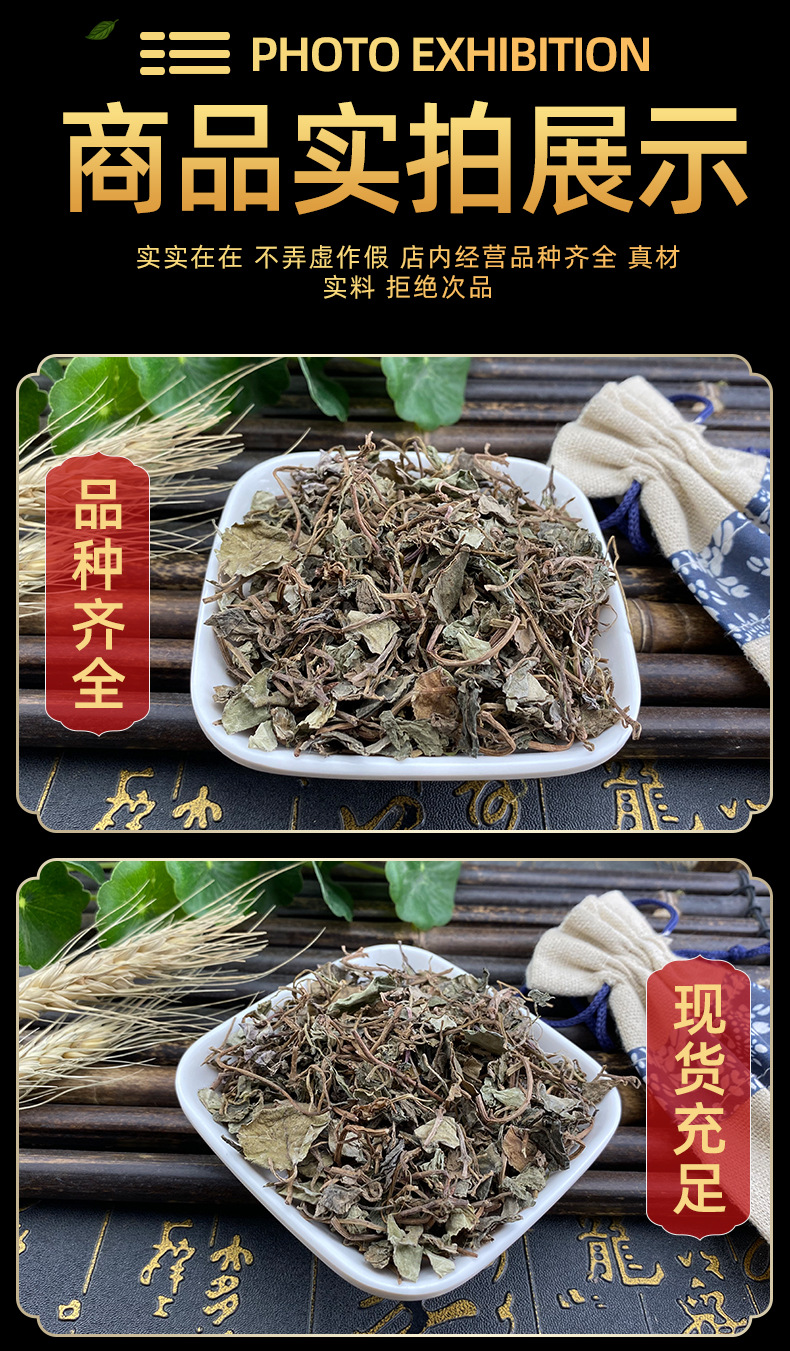 Dried Lysimachia Herb Jin Qian Cao Whole Loose Bulk Sichuan Small Leaf 500g in use