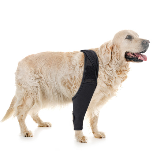Dog leg injury support front and rear leg protective sleeve breathable adjustable extra support for large dog thigh protective knee pet