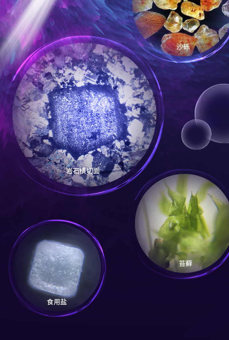 Microscope details_06.jpg