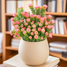 ����ֲ���ɫ�X�������k���҃����滨�ܺ��B���ݗ�䎧�莧��