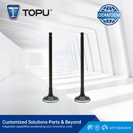 气门及部件;其他传动系统;油封