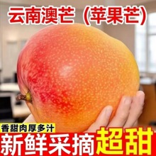 ����O��â�ʺ��â�����Ꭷ���rˮ���ش�̖â�����������l9��