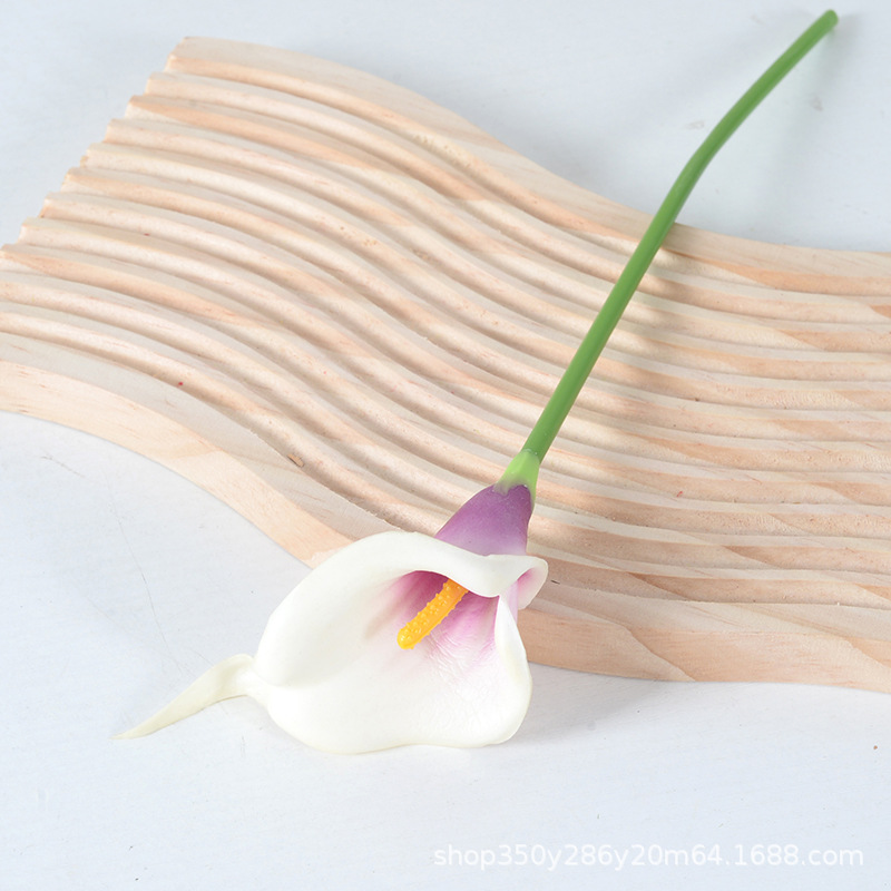 흰색 바탕에 보라색(노란색 코어)