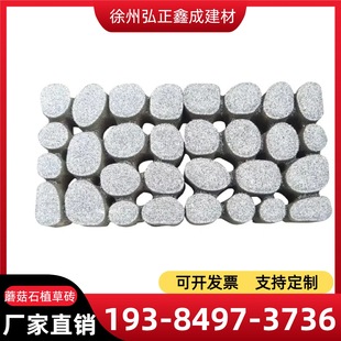 Ģ��ʯֲ�ݴu��ƺ�u��ʯ��·��ʯ͸ˮ�upc�uͣ܇λ�R��uС�^�G��