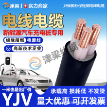 全球暢銷新能源汽車專用電纜線3芯10平方電線國標銅芯戶外電源線