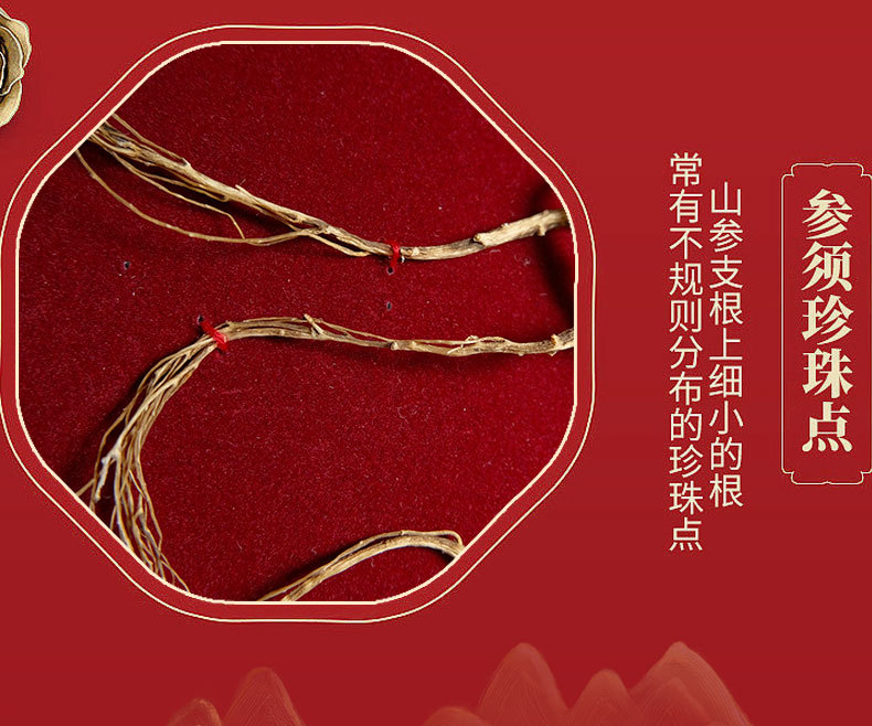 Wild Mountain Ginseng Gift Box Dried Root Slices 15 Years and Above for Soup and Decoction specifications