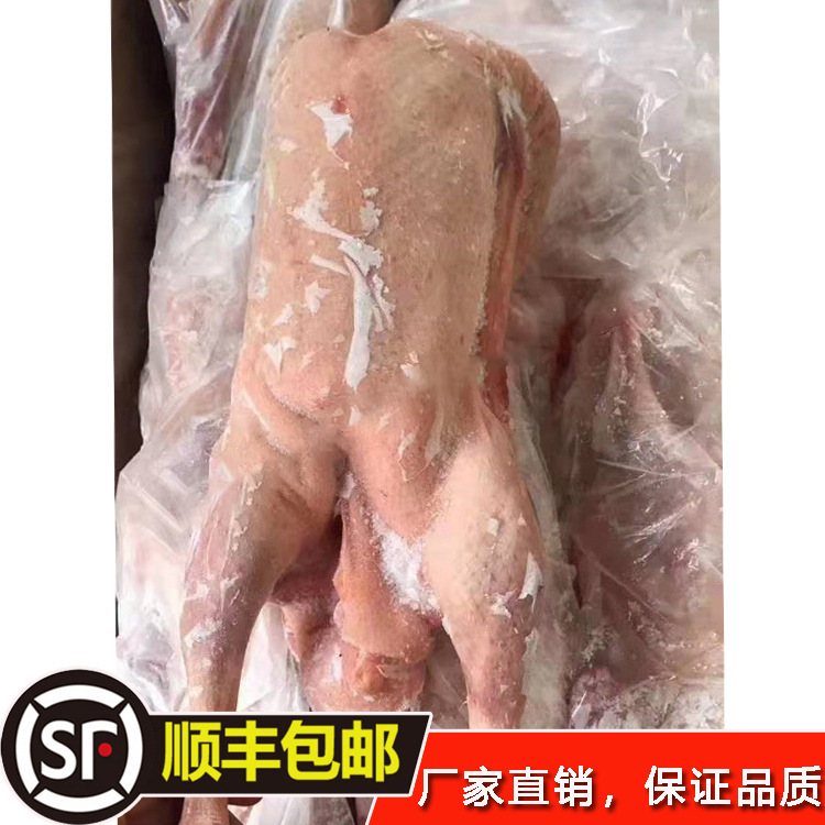 冻货冷冻品鹅老鹅 仔鹅 全鹅 两光鹅 黑棕鹅40斤一件批发零售