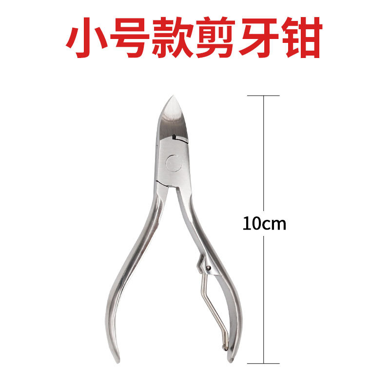 Alicates de corte de dientes de cochinillo de codo recto Tipo de metralla alicates de corte de dientes de acero inoxidable de tamaño pequeño alicates de corte de dientes de cerdo grande