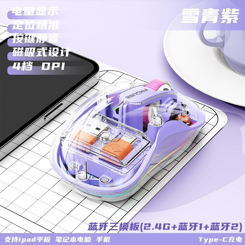 Xueqingzi-[USB+Type-C 듀얼 수신기]