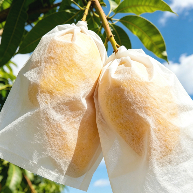 Mango Loquat Fruit Bags, Grape Peach Passion Fruit Insect-Proof Fruit Garden Non-Woven Drawstring Protective Fruit Bags