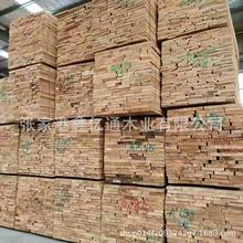 â��ľԭľ â��ľ��� â��ľľ�� â����ľ�� â��ľ�� ��˼ľ