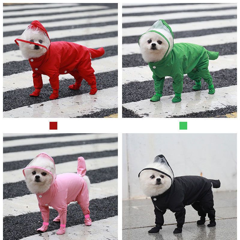 애완 동물 고양이 개 4 다리 올인원 방수 비옷, 비 부츠 봄, 여름, 가을, 겨울 테디 ZHAO ZHIZHENG보다