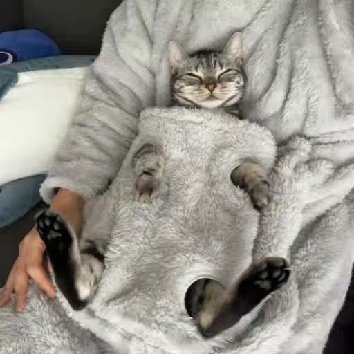 亚马逊爆款猫奴家居服创意有趣秋冬新款猫咪收纳睡袍睡衣家居服