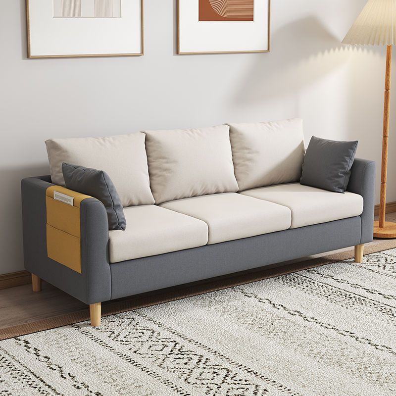 Scandinavian Small Apartment Sofa Modern Simple Net Red Single and Double Living Room Apartment Rental Bedroom Simple Small Sofa