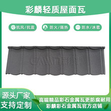 ����Ʒ�Ʋ�ʯ������ �e�����p�|�����\�д��������r����ԃ�ͷ�