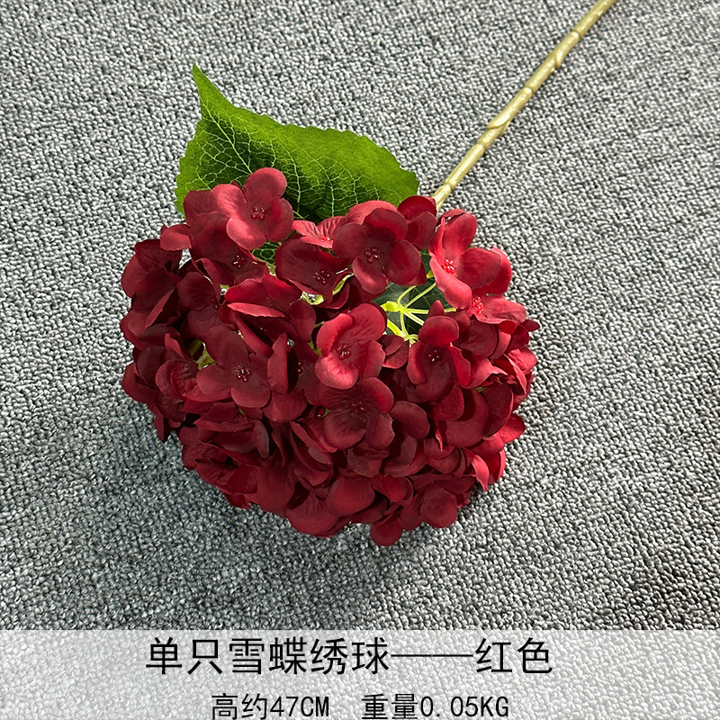 Solo nieve mariposa Hortensia rojo