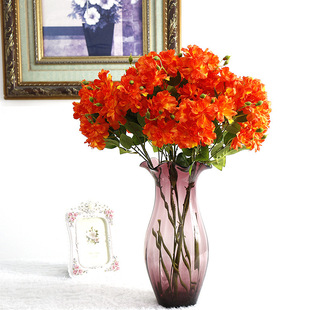���滨���¶��^�ѻ��b����[���֦�����������L�������^�Nޱ��