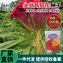 F؛^uڻNͥԺ̨ԻPβڠuڻ׳ɻ