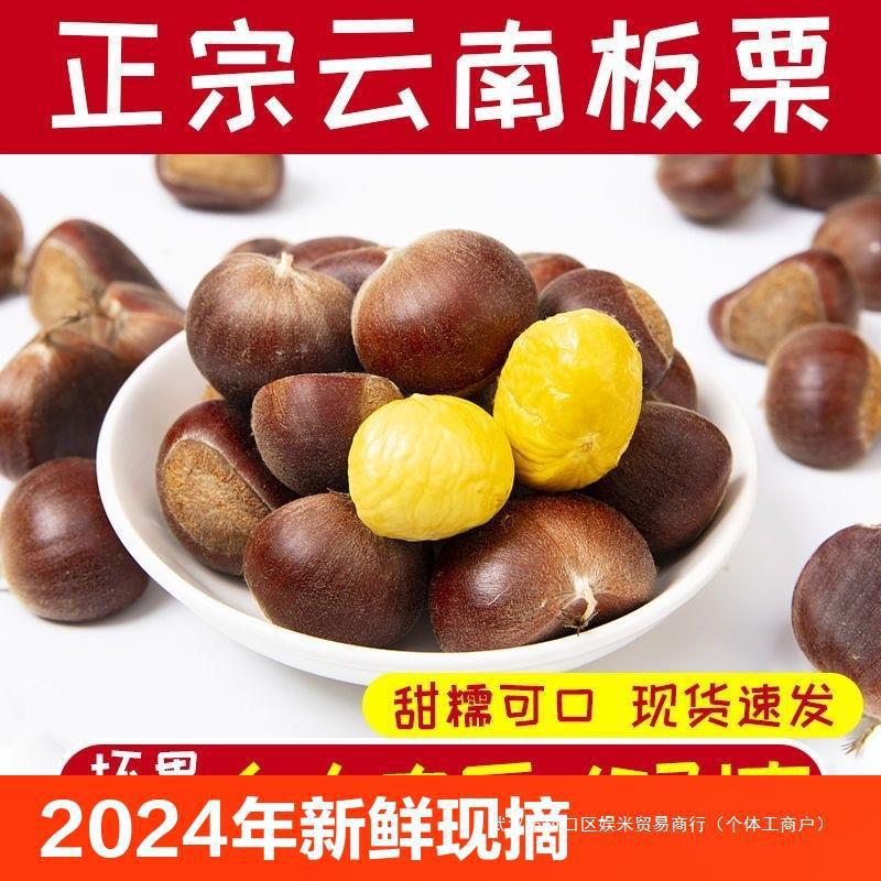 云南板栗新鲜生栗子农家现摘现发当季油栗子毛栗子鲜板粟野生栗子