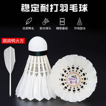 ��c��ë��R2/R-2���c�w�з������ָ��ʹ�12�o��ِ����ymq������