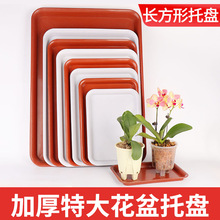 �ش��λ����бP�Ӻ����ˮ�P�tɫ����ױP���l���ϻ������