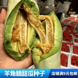 Crispy Melon Seeds with High Yield, Early Maturity, Thin Skin, Super Fragrant Melon Honey Crisp, Four-Season Spring Sowing Cantaloupe Fruit Seeds