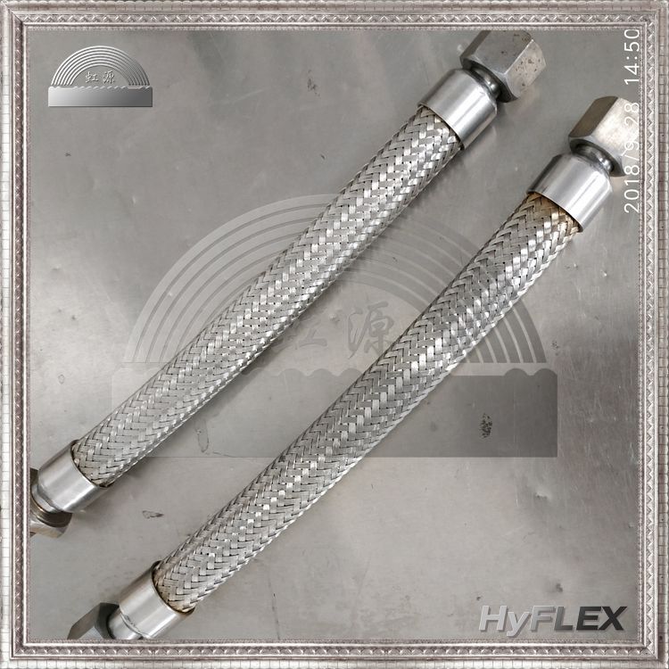 Դ νͷD 304ֲƹ ͷĸӻ