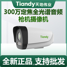 天地偉業Tiandy300萬高清紅外網絡音頻監控攝像頭H.265手機遠程