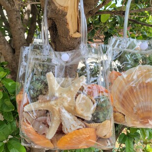 Shell Conch Starfish Handbag Set Large Shell Fish Tank Landscaping Scenic Tourist Hot Selling Factory Direct Sales