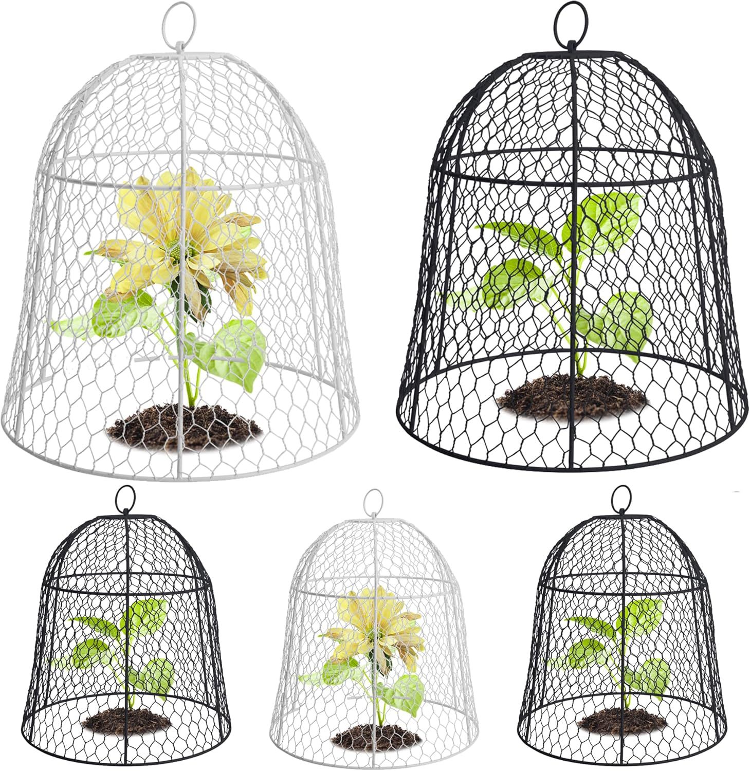 钟形植物金属保护罩 (1)(1).jpg