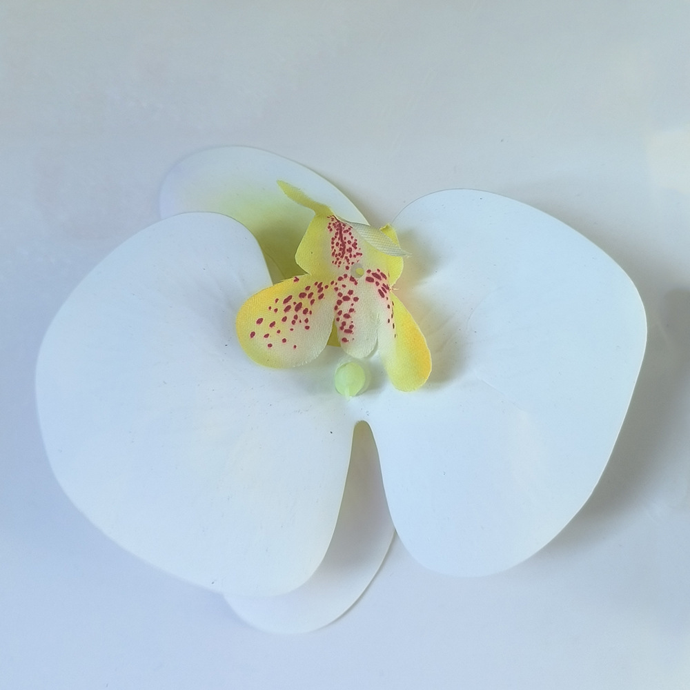 SKU图_白色蝴蝶兰 高质量胶片 (11cm)(最好效果)