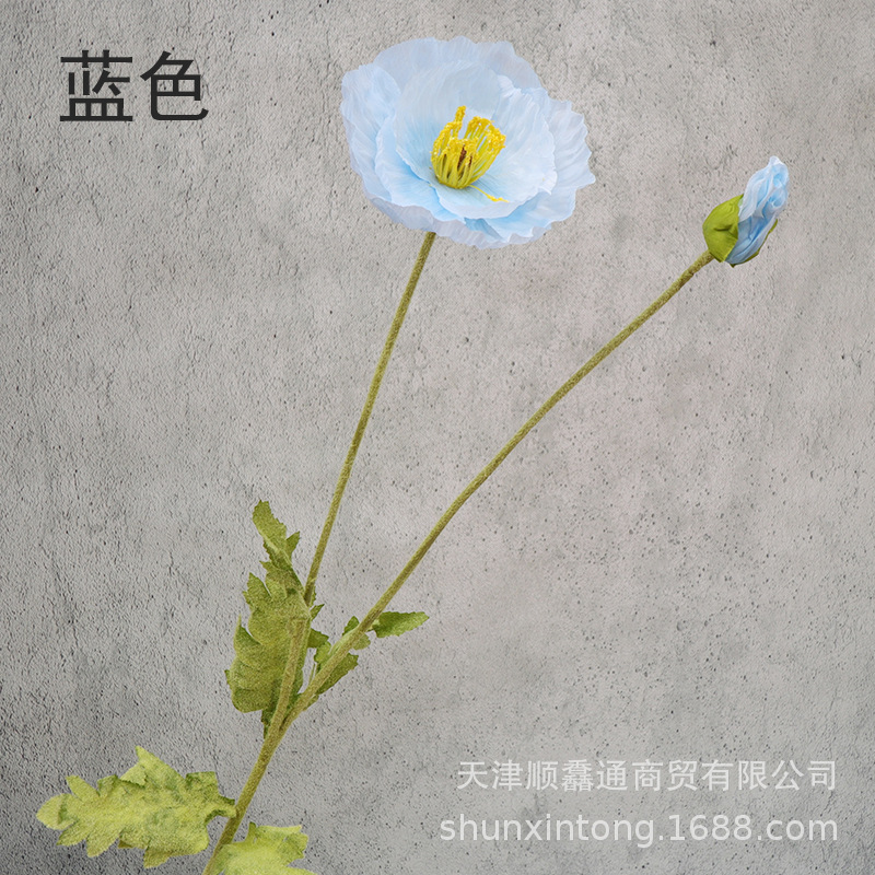 大虞美人蓝色1.jpg
