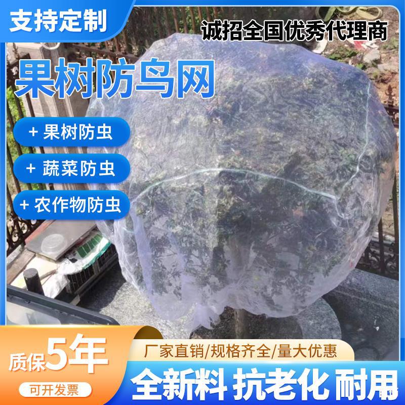 果树防虫网罩大棚蔬菜纱网杨梅农用防果蝇莲雾果园樱桃防鸟网